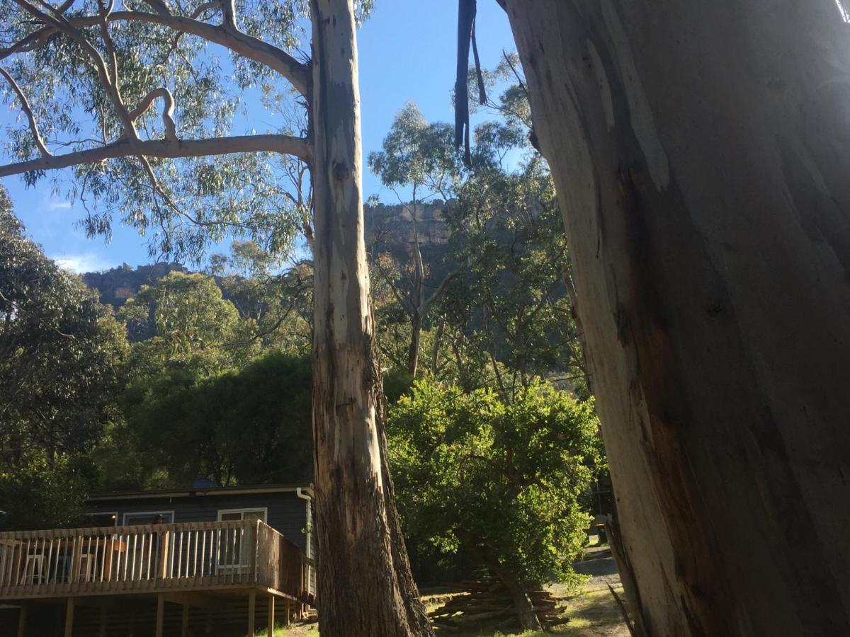 Willa Grampians Nest Halls Gap Zewnętrze zdjęcie